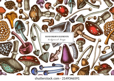 El diseño de fondo de los hongos forestales es impecable. Estilo grabado. Hongos dibujados a mano, mosca agaric, blewit, etc.