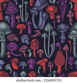 Forest mushrooms seamless pattern background design. Engraved style. Hand drawn mushrooms, fly agaric, blewit, etc.