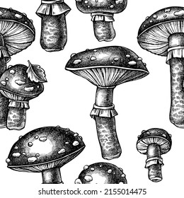 El diseño de fondo de los hongos forestales es impecable. Estilo grabado. La mano dibujó a la mosca agaric.