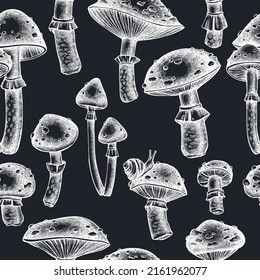 Forest mushrooms seamless pattern background design. Engraved style. Hand drawn mushrooms, fly agaric.