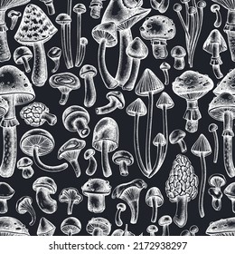 Forest mushrooms seamless pattern background design. Engraved style. Hand drawn mushrooms, fly agaric, blewit, etc.