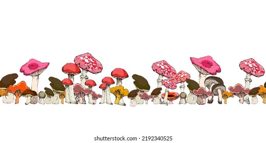 Forest mushrooms. Seamless pattern of chanterelle, porcini mushroom, toadstool, fly agaric, champignon and other. Hand-drawn design for textile, packaging materials, wallpapers, wrapper. Vector