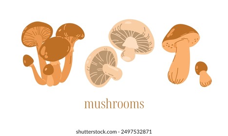 Forest mushrooms set. Mushrooms cartoon forest raw ingredients. Isolated honeydew, champignon, porcini mushroom, autumn plants and vegetarian food, racy vector set