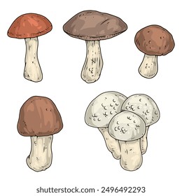 Forest mushrooms set logotypes colorful with porcini mushrooms or champignons grown in meadow after autumn rain vector illustration