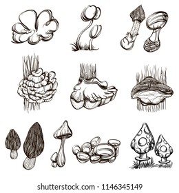 Forest mushrooms. Set of outline vector illustrations isolated on white background.