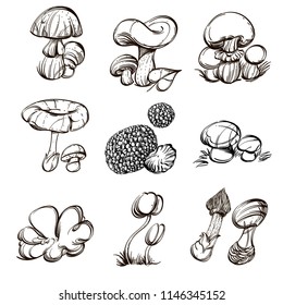 Forest mushrooms. Set of outline vector illustrations isolated on white background.