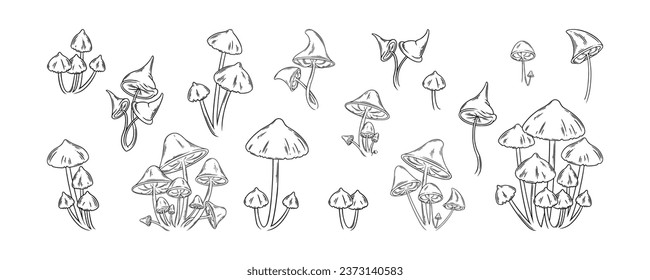 Forest mushrooms set. Psychedelic and edible mushrooms for nature aesthetics designs. Vector illustration isolated in white background
