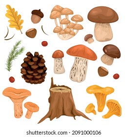 Forest mushrooms set of russule boletus chanterelle porcini honey agaric cartoon icons isolated vector illustration