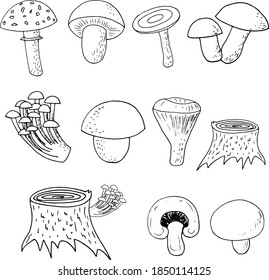forest mushrooms set sketch hand drawn doodle. icon, card, poster, vector, monochrome. boletus, fly agaric, chanterelles, russula, champignon, honey agarics, stump. nature, food, ingredient.