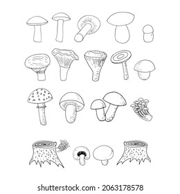 forest mushrooms set sketch hand drawn doodle. icon, card, poster, vector, monochrome. boletus, fly agaric, chanterelles, russula, champignon honey agarics stump nature food ingredient