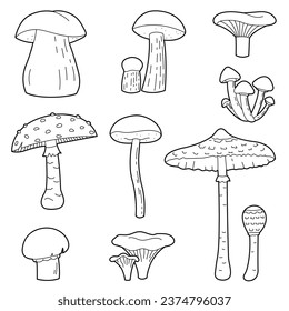 Forest mushrooms set. Vector colorless set. Design elements or page of children's coloring book.	
