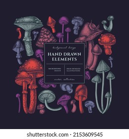 Tarjeta cuadrada de hongos forestales o diseño de invitación. Diseño de cuadro con hongos, mosca agaric, blewit, etc.