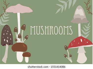 Forest mushrooms. Mushrooms vector graphic set.
