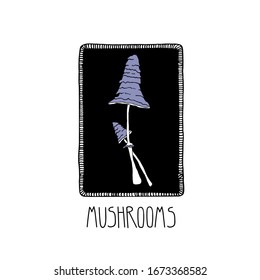 Forest mushrooms in a vintage frame. Hand drawn poisonous toadstools with lettering. Witchcraft vector illustration in doodle style. Wicca and potion making concept. Perfect for cards, scrapbooking