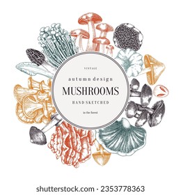 Forest mushrooms wreath in color. Edible mushrooms frame, vintage card design. Fungi, healthy food, vegan product sketches. Autumn background, hand-drawn vector illustration. Engraved design template