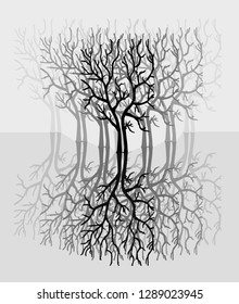Forest with naked trees with shadows isolated on white background. 