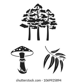 Forest and nature black icons in set collection for design. Forest life vector symbol stock web illustration.