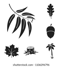 Forest and nature black icons in set collection for design. Forest life vector symbol stock web illustration.