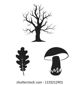Forest and nature black icons in set collection for design. Forest life vector symbol stock web illustration.