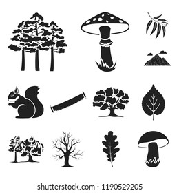 Forest and nature black icons in set collection for design. Forest life vector symbol stock web illustration.