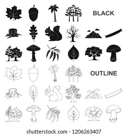 Forest and nature black icons in set collection for design. Forest life vector symbol stock web illustration.