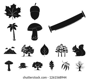 Forest and nature black icons in set collection for design. Forest life vector symbol stock web illustration.