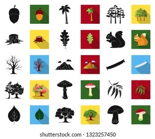 Forest and nature black,flat icons in set collection for design. Forest life vector symbol stock web illustration.