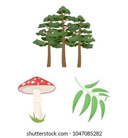 Forest and nature cartoon icons in set collection for design. Forest life vector symbol stock web illustration.
