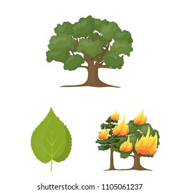 Forest and nature cartoon icons in set collection for design. Forest life vector symbol stock web illustration.