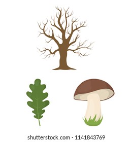 Forest and nature cartoon icons in set collection for design. Forest life vector symbol stock web illustration.
