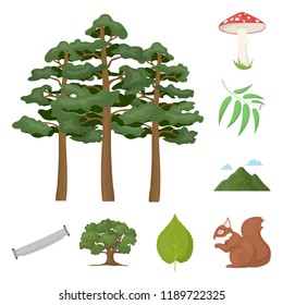 Forest and nature cartoon icons in set collection for design. Forest life vector symbol stock web illustration.