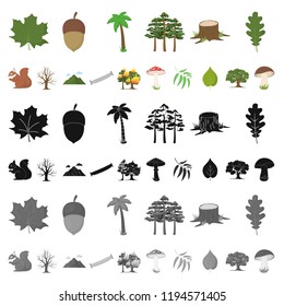 Forest and nature cartoon icons in set collection for design. Forest life vector symbol stock web illustration.