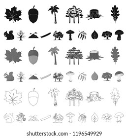 Forest and nature cartoon icons in set collection for design. Forest life vector symbol stock web illustration.