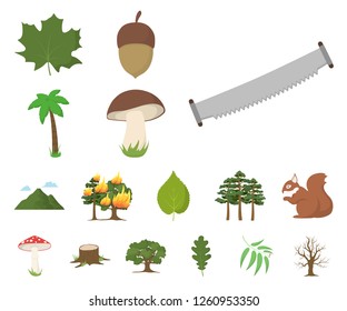 Forest and nature cartoon icons in set collection for design. Forest life vector symbol stock web illustration.