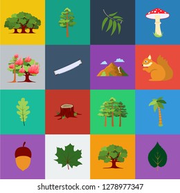 Forest and nature cartoon icons in set collection for design. Forest life vector symbol stock web illustration.