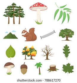 Forest and nature cartoon icons in set collection for design. Forest life vector symbol stock web illustration.