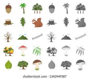 Forest and nature cartoon,mono icons in set collection for design. Forest life vector symbol stock web illustration.