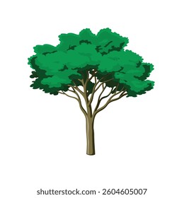 Forest and nature concept tree. tree symbol. Vector drawn for plant and tree presentation.