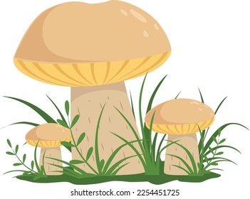 Forest nature element. Growing boletus cartoon mushroom