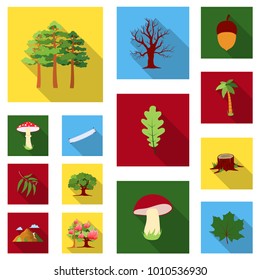 Forest and nature flat icons in set collection for design. Forest life vector symbol stock web illustration.