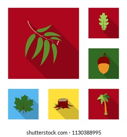 Forest and nature flat icons in set collection for design. Forest life vector symbol stock web illustration.