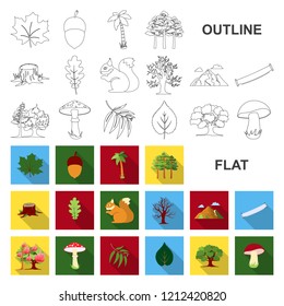Forest and nature flat icons in set collection for design. Forest life vector symbol stock web illustration.