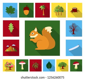 Forest and nature flat icons in set collection for design. Forest life vector symbol stock web illustration.