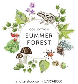 Forest nature frame. Frog, bug, green  leaves, nuts, mushroom, flower, white background. Design template with text. Vector illustration. Woodland plants. Summer print