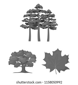 Forest and nature monochrome icons in set collection for design. Forest life vector symbol stock web illustration.