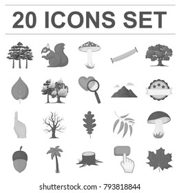 Forest and nature monochrome icons in set collection for design. Forest life vector symbol stock web illustration.