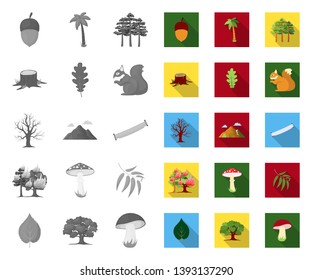 Forest and nature mono,flat icons in set collection for design. Forest life vector symbol stock web illustration.