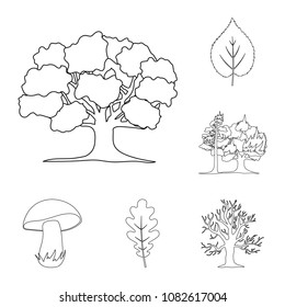 Forest and nature outline icons in set collection for design. Forest life vector symbol stock web illustration.