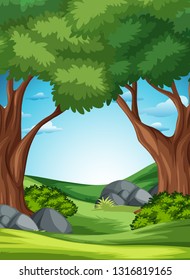 A forest nature scene illustration