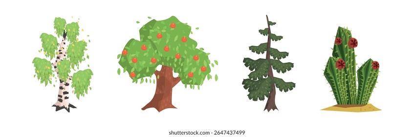 Forest Nature and Woodland Outdoor Element Vector Set